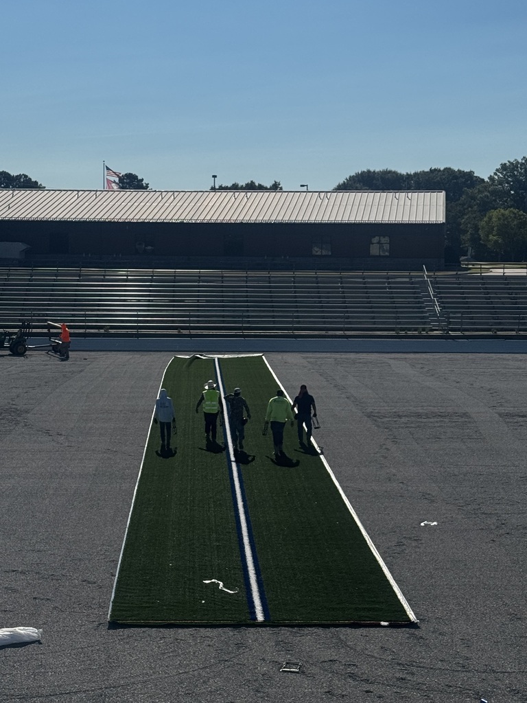 Turf field