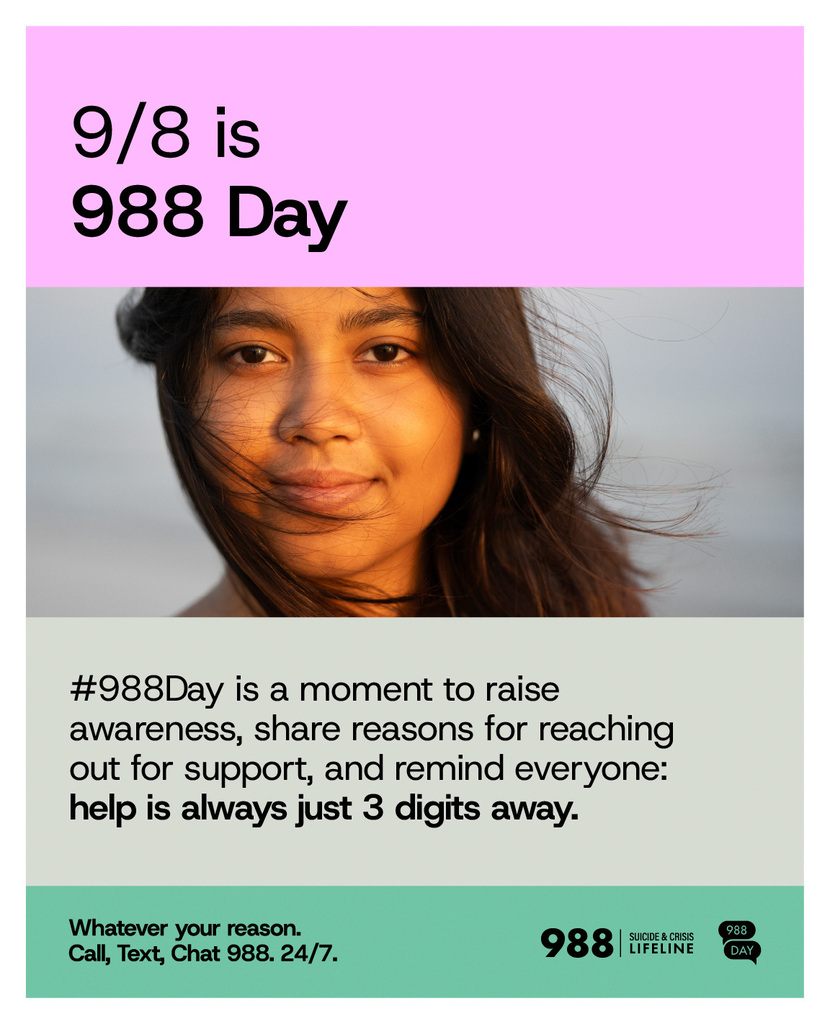 988 day infographic