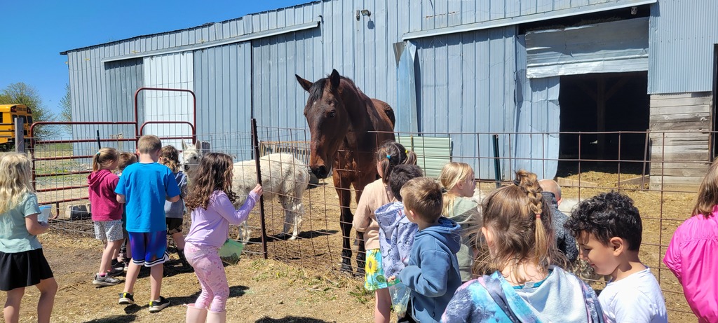 Students looking at horse.