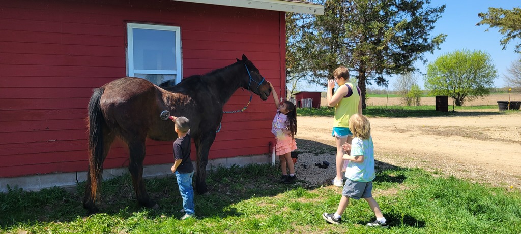 Students with Horse
