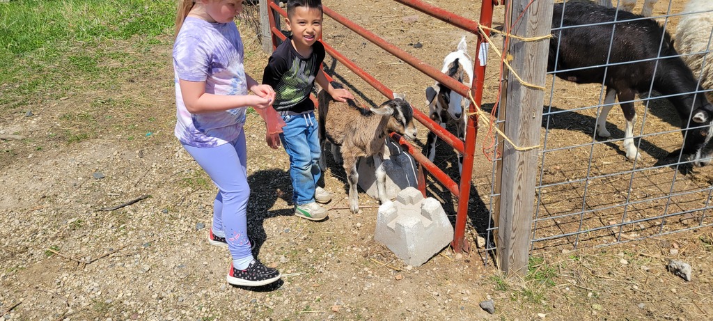 Students and Goats