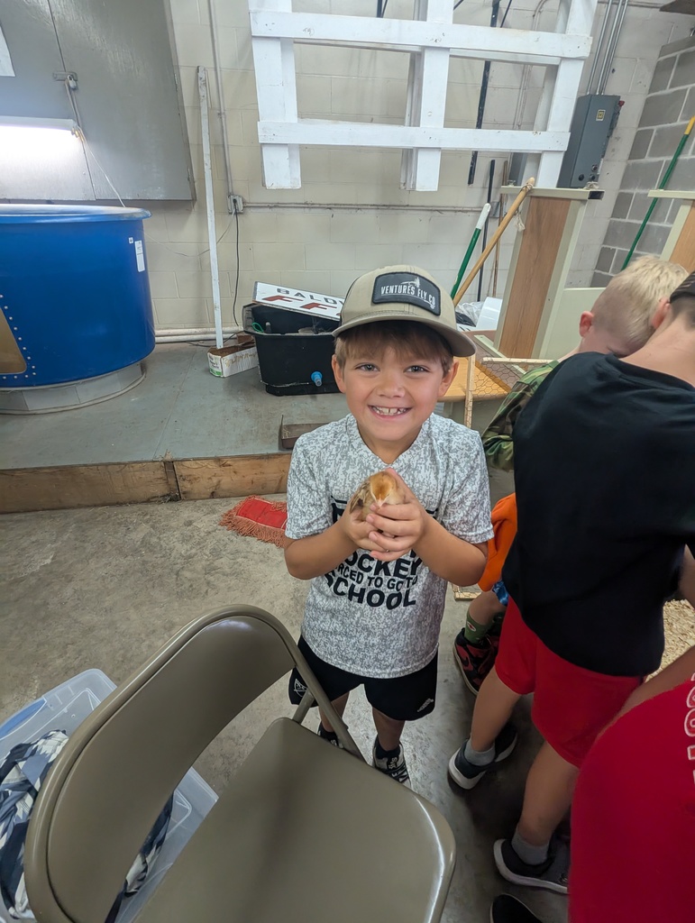 boy with a chicken