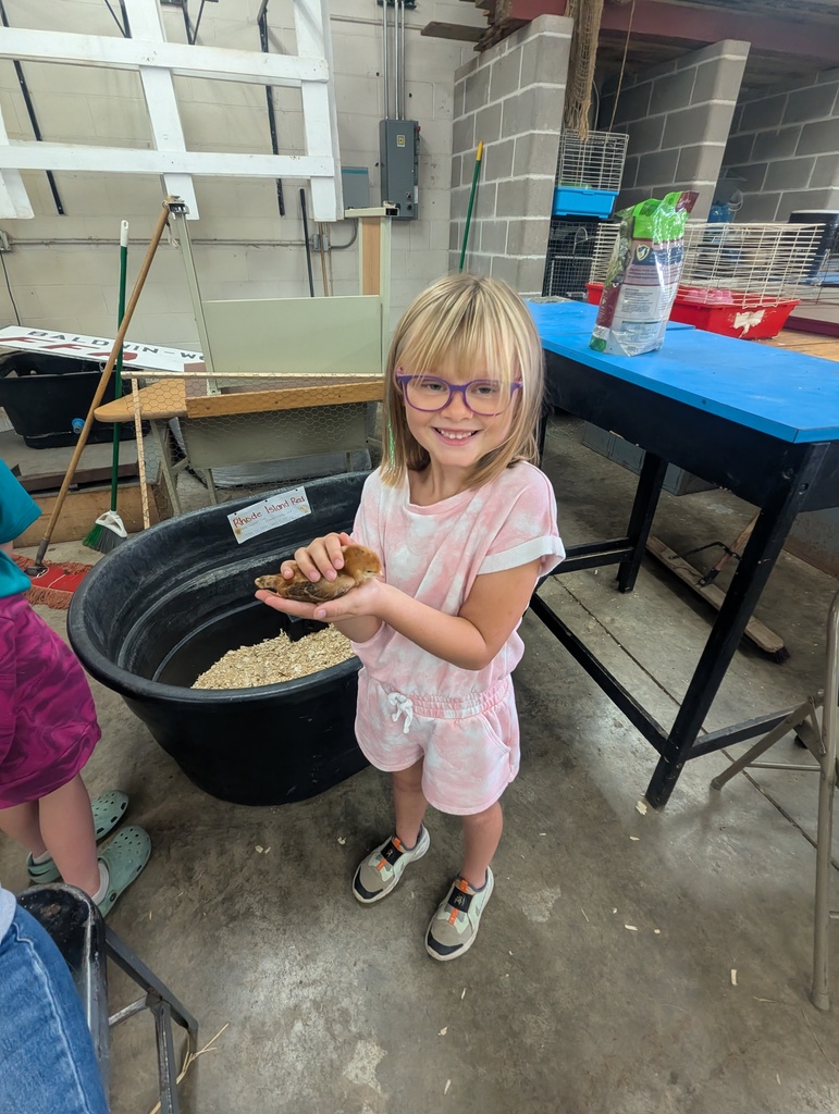 Girl with a little chick