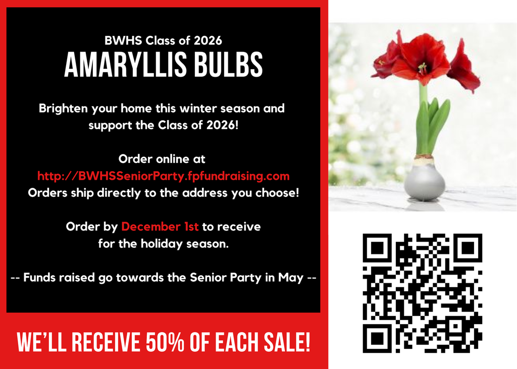 Amaryllis Blub Advertisement and QR code