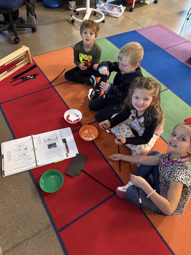 Students on the carpet.