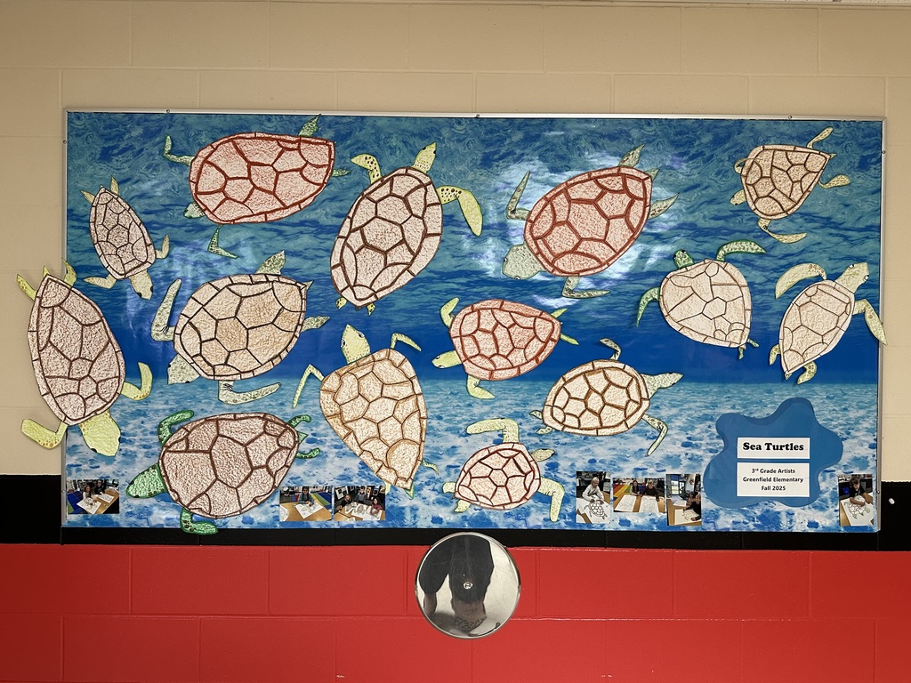 Sea turtle hallways display.