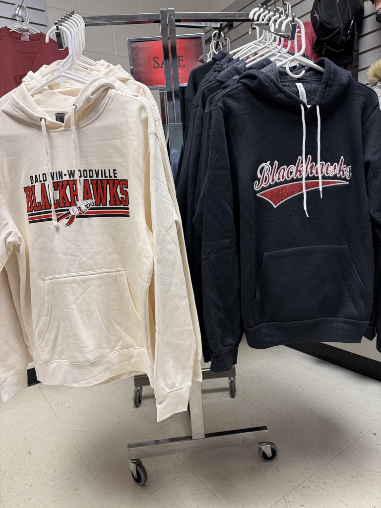 Two different sweatshirt options.