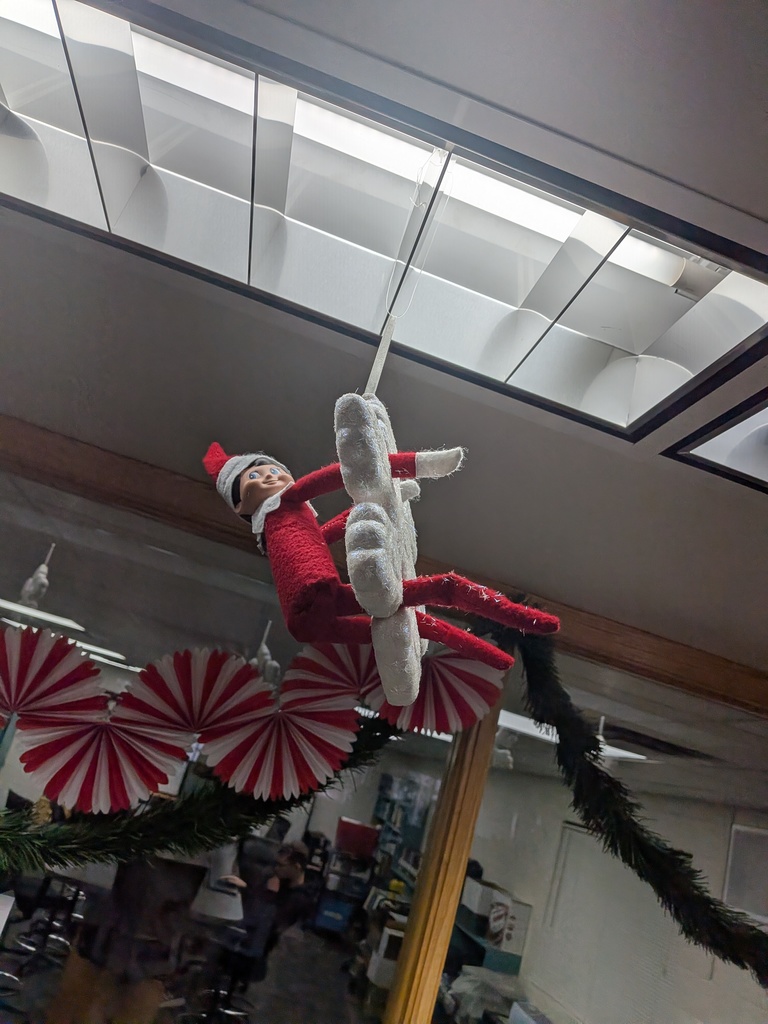 Elfred hanging from the ceiling on a decoration.