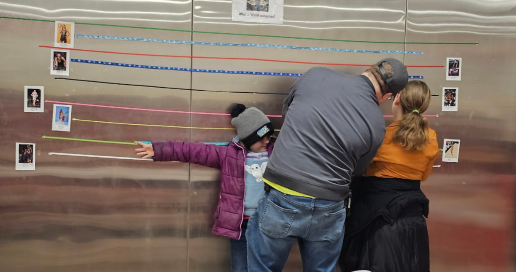 More students measuring their wingspan.