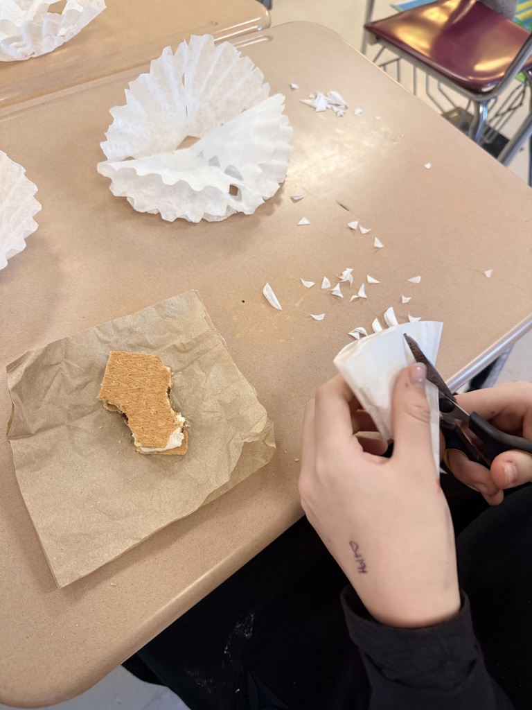 A student making a snowflake out of coffee filters.