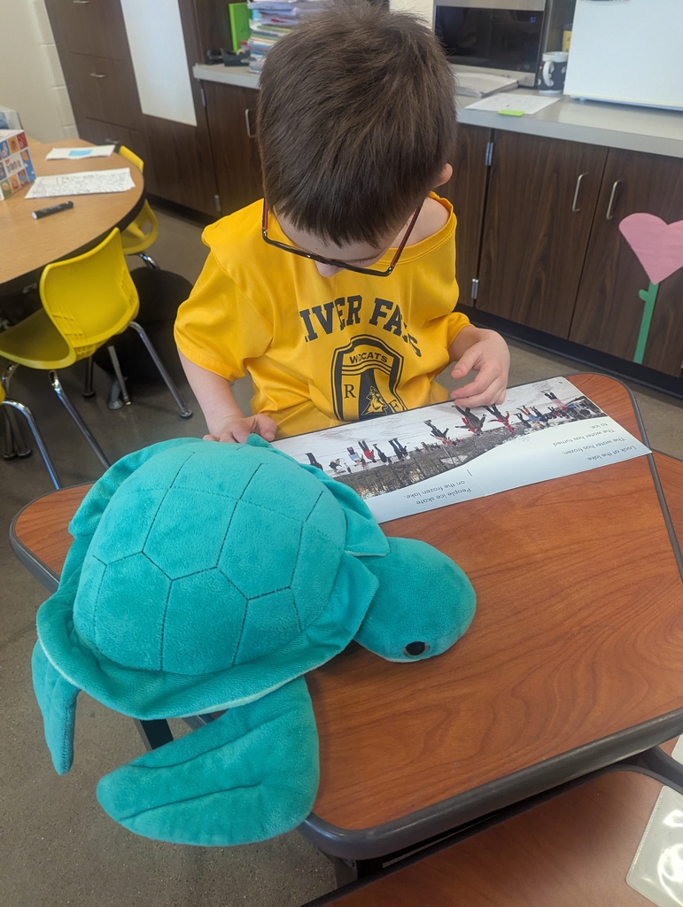 A little boy at his desk with a stuffed turtle.