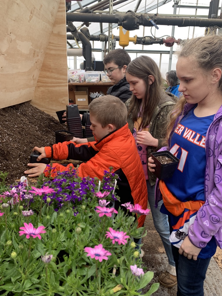 Students working with the dirt to plant their own flower.