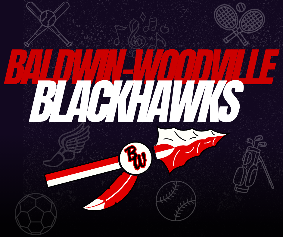 BALDWIN-WOODVILLE BLACKHAWKS with logo