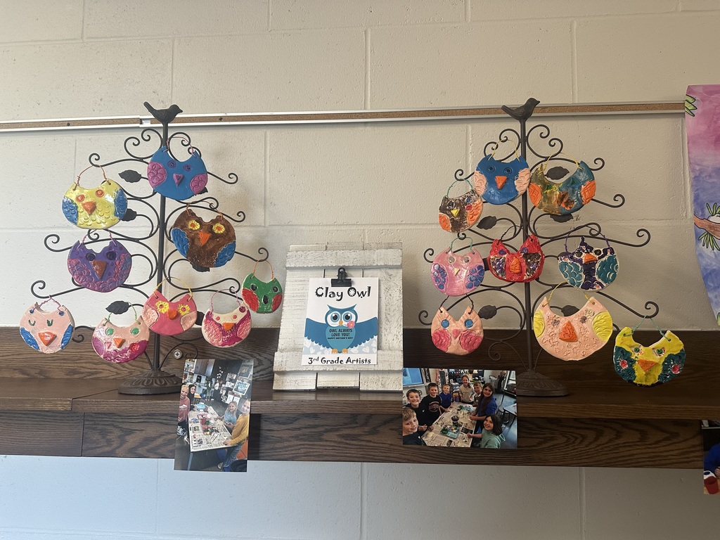 Owl Art Display