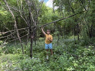 A student clearing trees.