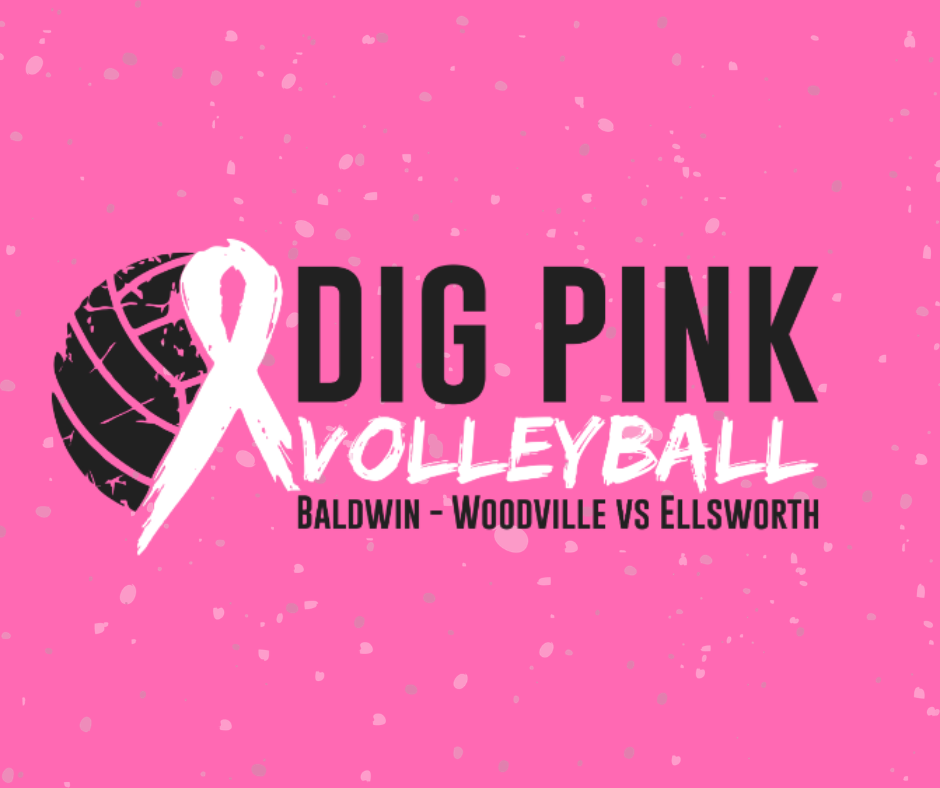 Dig Pink Volleyball: Baldwin-Woodville vs Ellsworth promotional graphic set on a pink textured background, featuring a black volleyball and white ribbon.