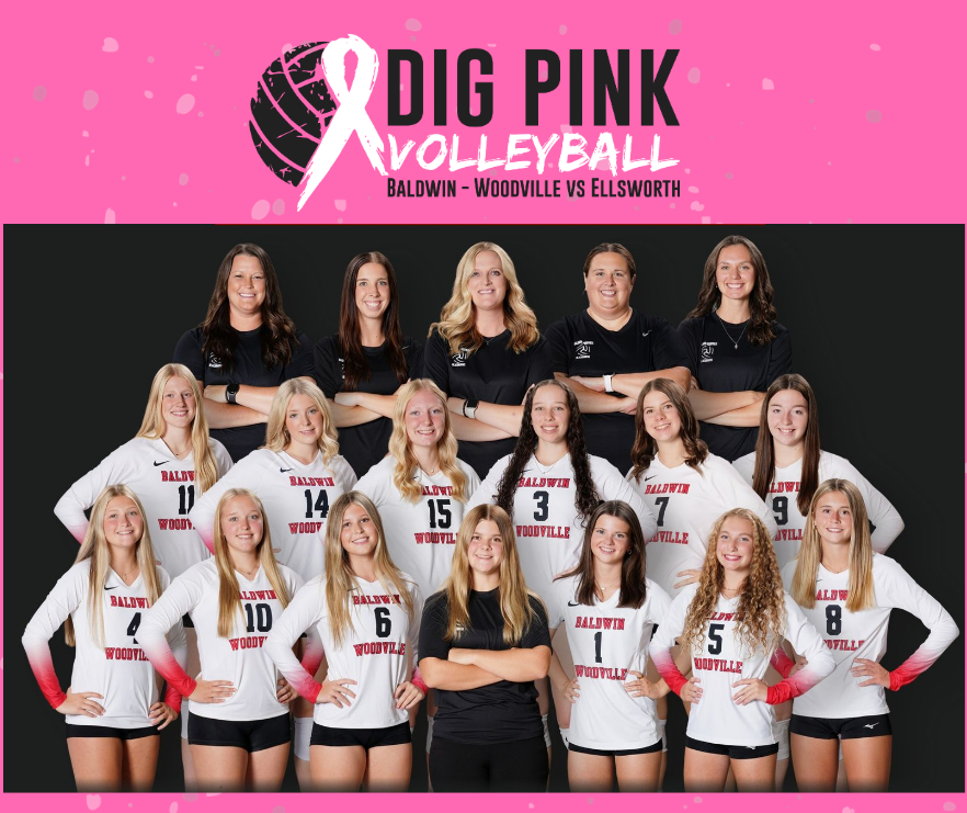 Graphic banner with a pink top section featuring a volleyball with a pink breast cancer awareness ribbon and text reading "DIG PINK VOLLEYBALL BALDWIN-WOODVILLE VS ELLSWORTH." Below, the Baldwin-Woodville High School volleyball team and coaching staff pose together wearing white and red jerseys over a black background.