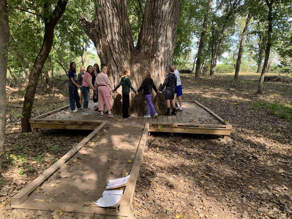 A group of middle school students standing on a wooden boardwalk, holding hands in a wide circle around the base of a massive, split-trunk oak tree in a wooded area.