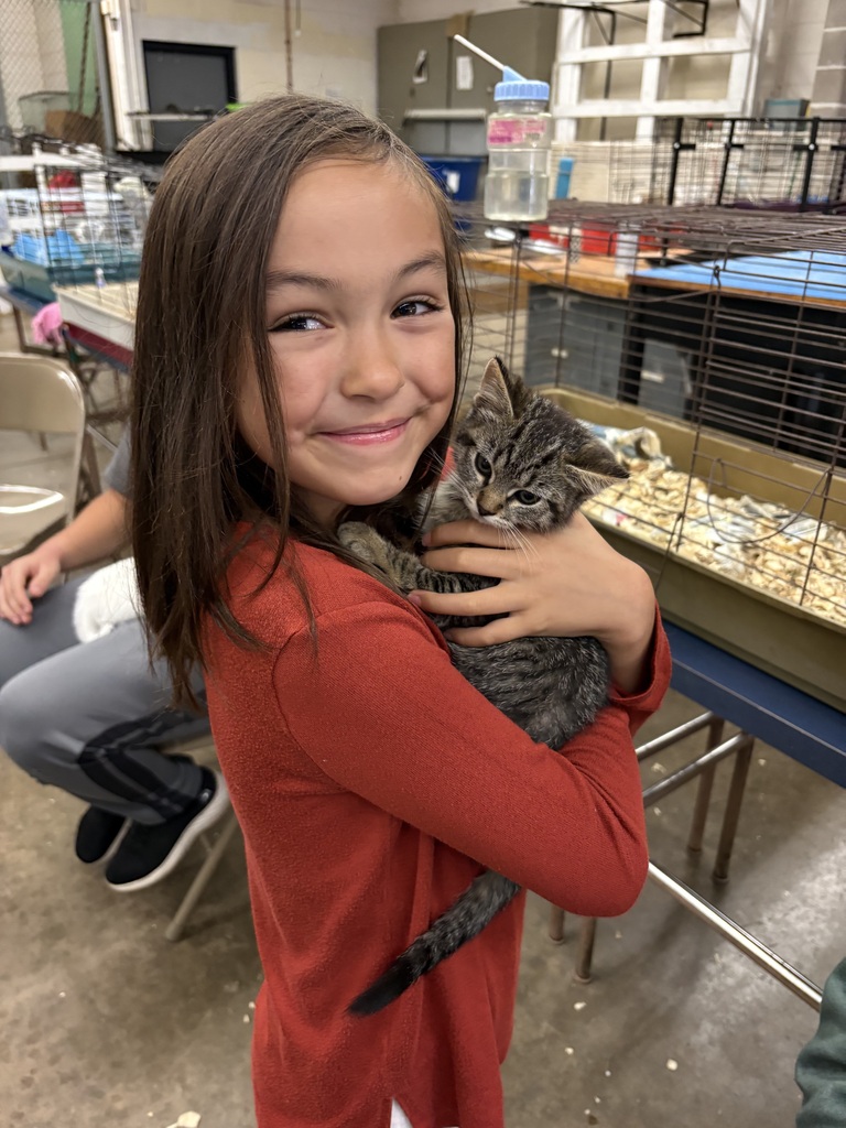 A young girl in a red long-sleeve shirt smiling as she holds a small tabby kitten up to her chest.