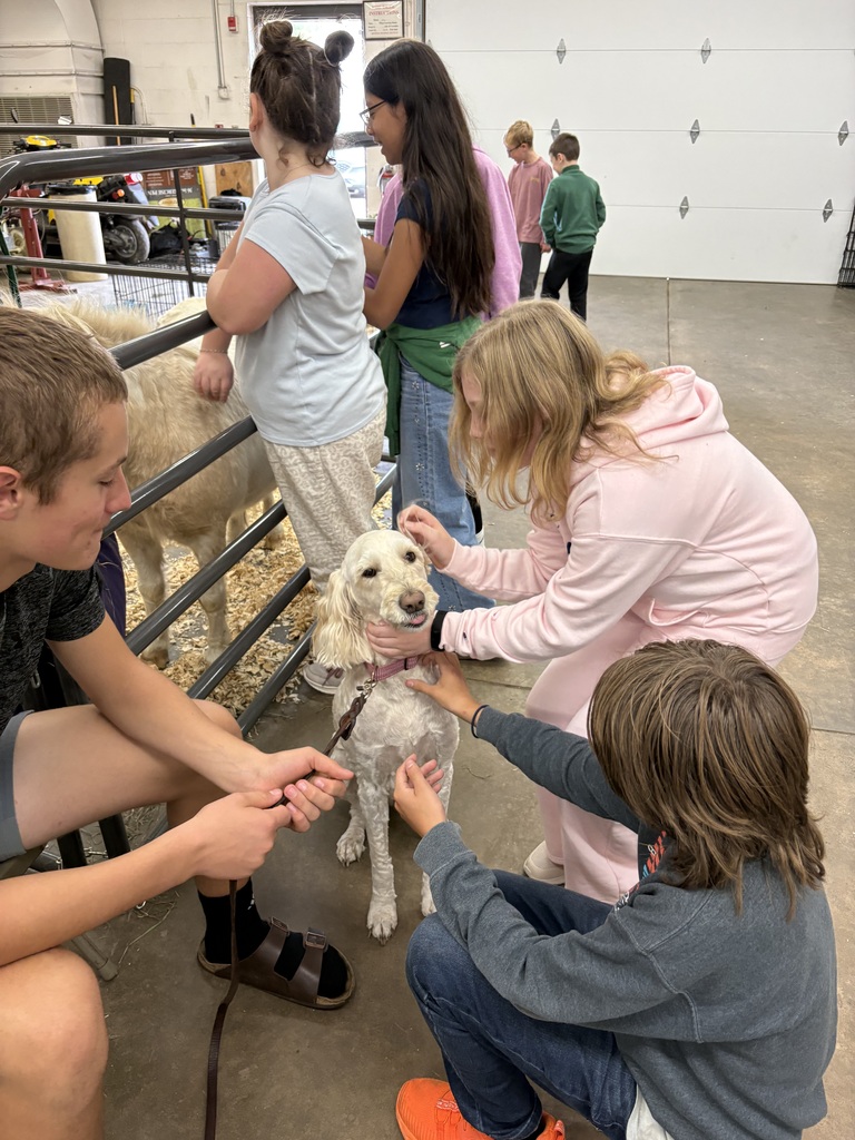 Several students gather around to pet a light-colored, fluffy dog on a leash while other students look at animals in the background.