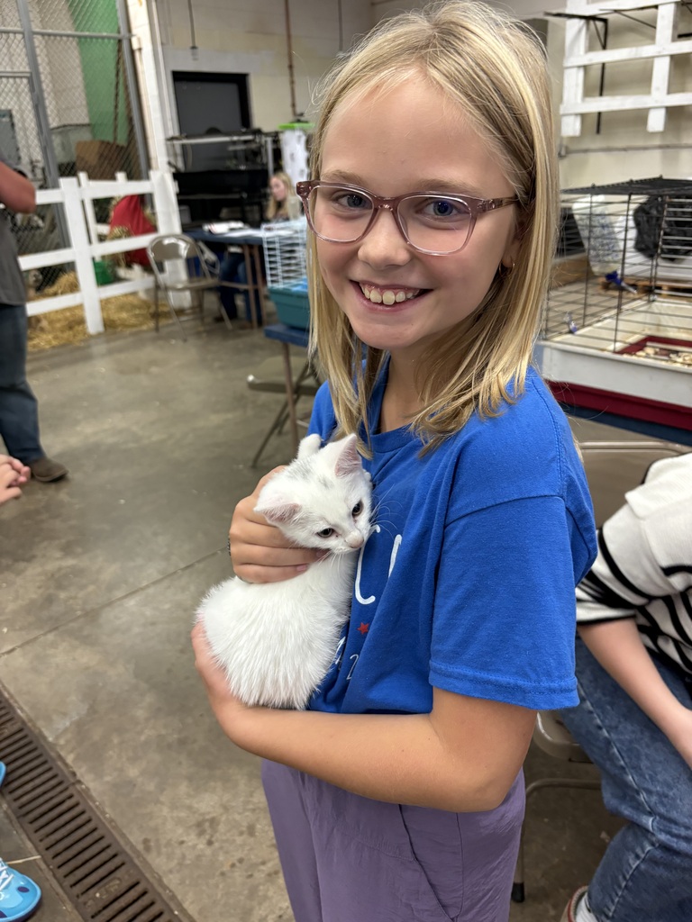 A smiling girl wearing glasses and a blue t-shirt gently holding a fluffy white kitten inside the high school shop area.