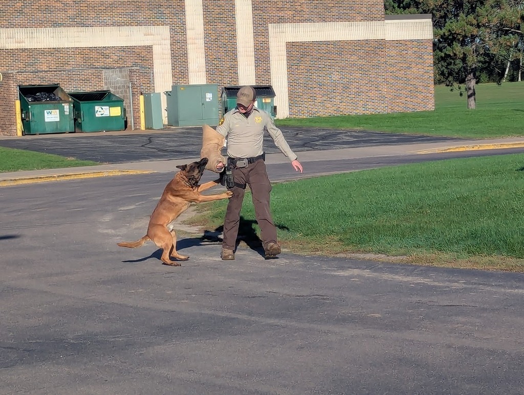 A focused shot of K9 Aires demonstrating his training by holding onto a handler’s protective bite sleeve during a demonstration on the pavemen