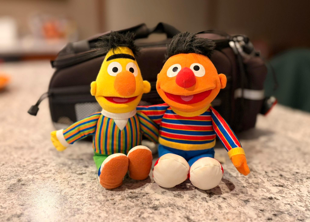 Two plush Sesame Street characters, Bert and Ernie, sitting side-by-side with arms around each other on a countertop in front of a dark travel bag.