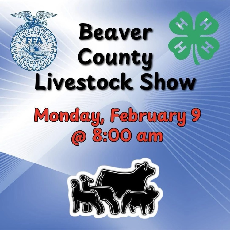 county stockshow
