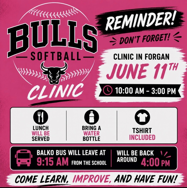 Bulls Softball Clinic