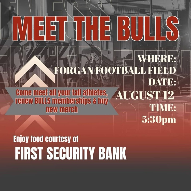 meet the bulls