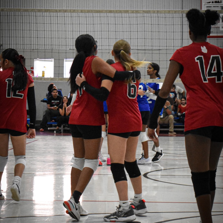 volleyball game 