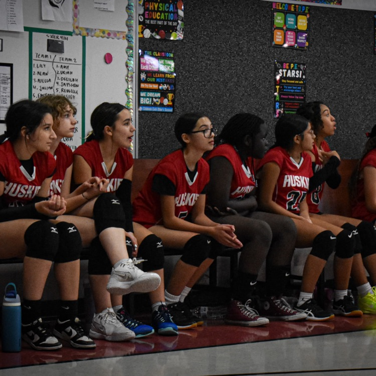 volleyball 