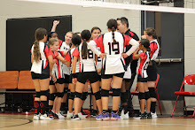 Girls volleyball picture