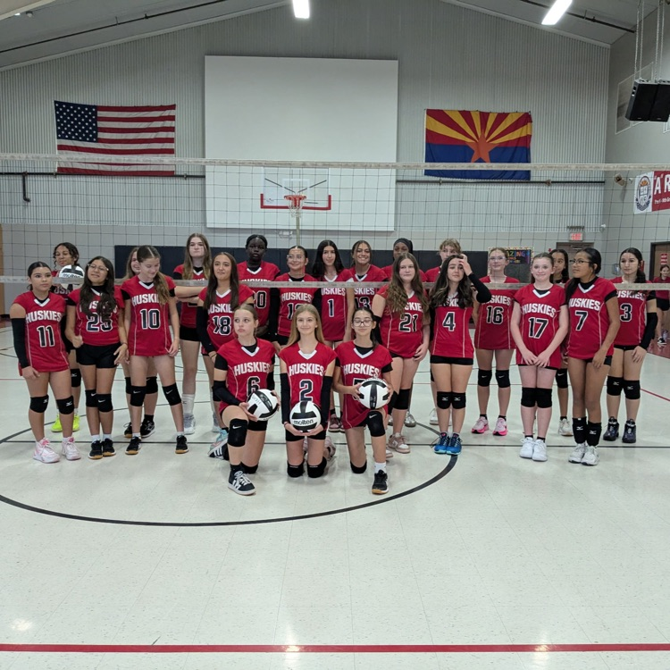 volleyball picture 