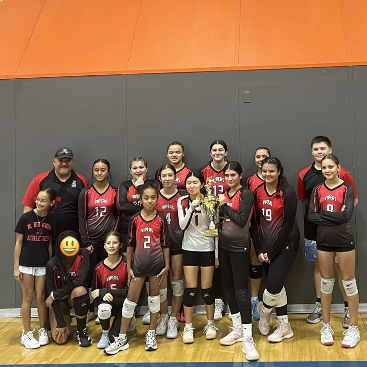 girls volleyball team