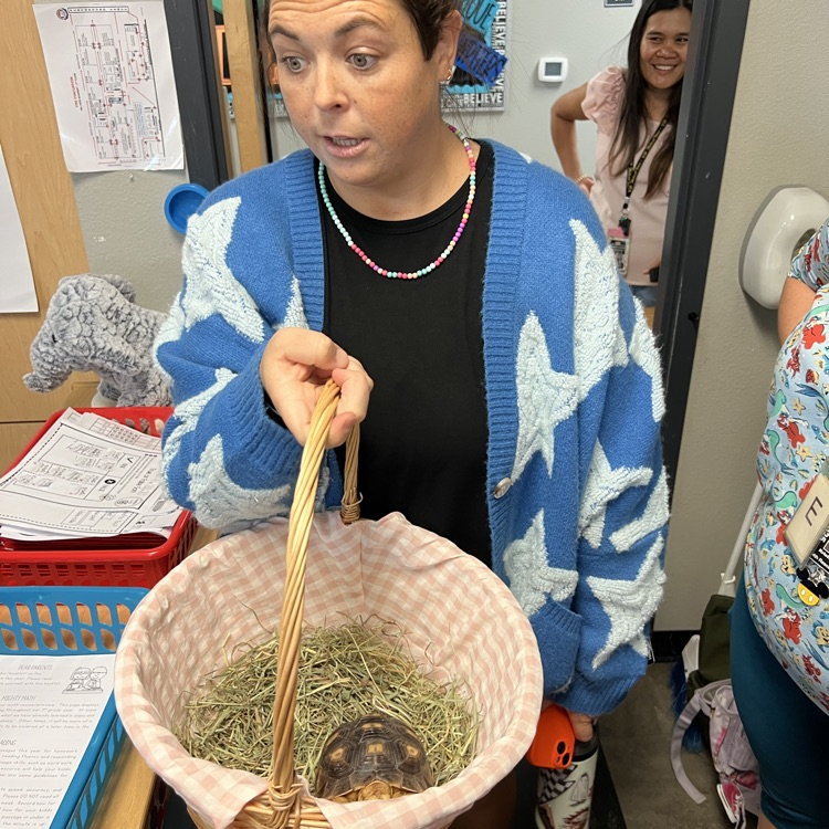 nurse holding turtle