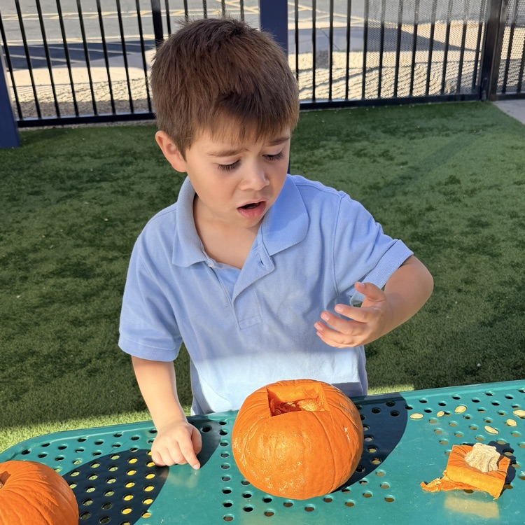 pumpkins experiment 