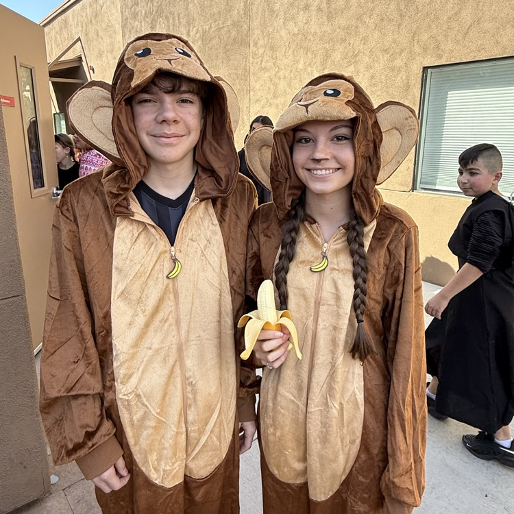 monkey costumes
