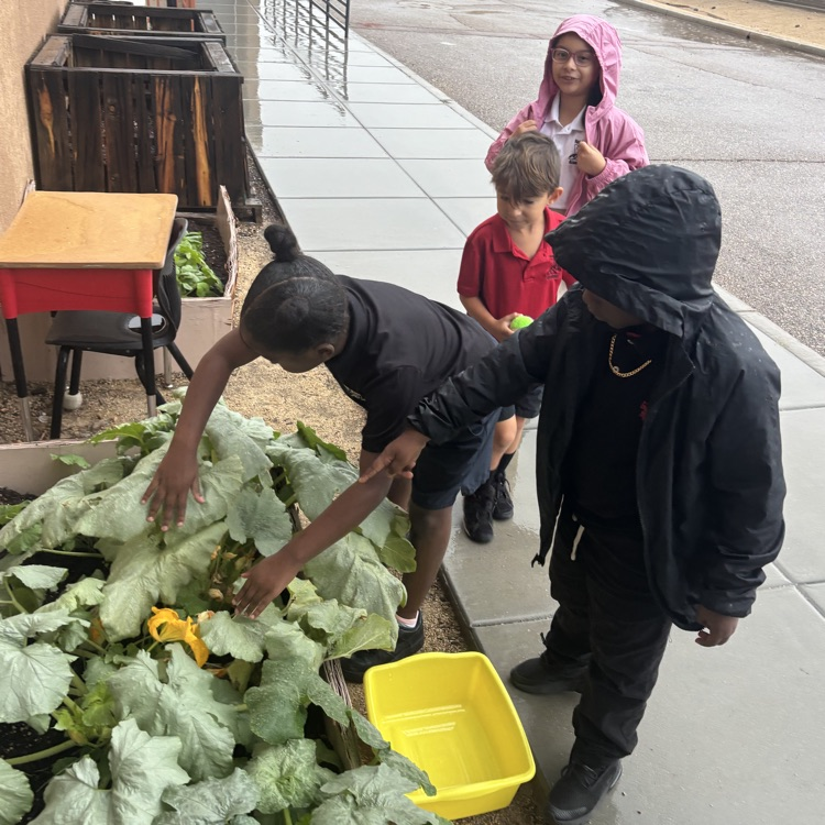 students with a bucket