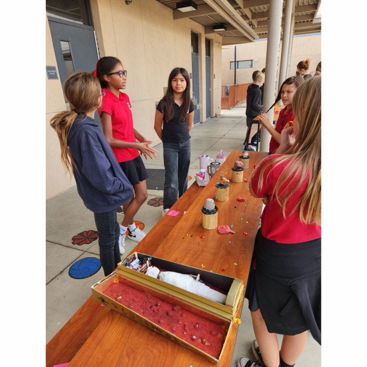 students looking at mummy projects