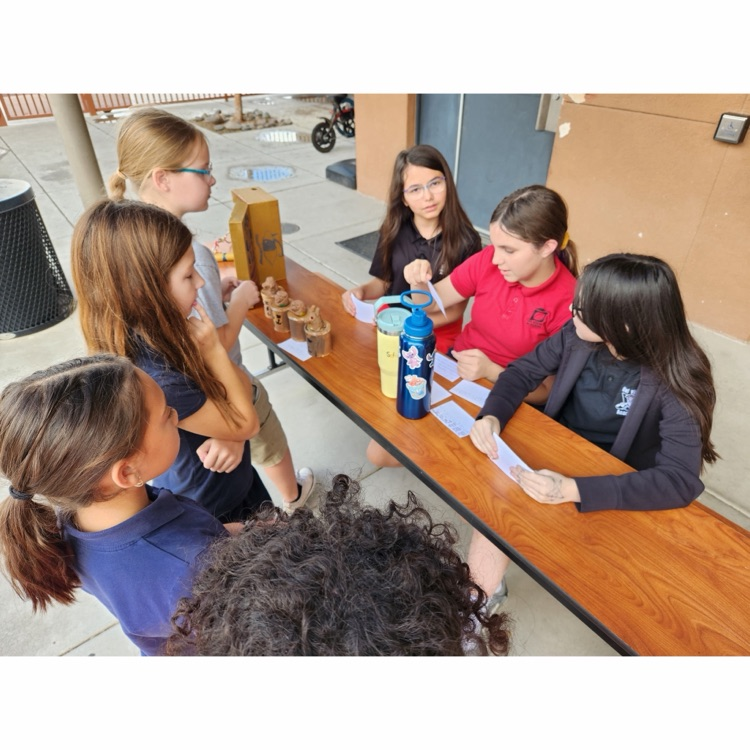 students looking at mummy projects