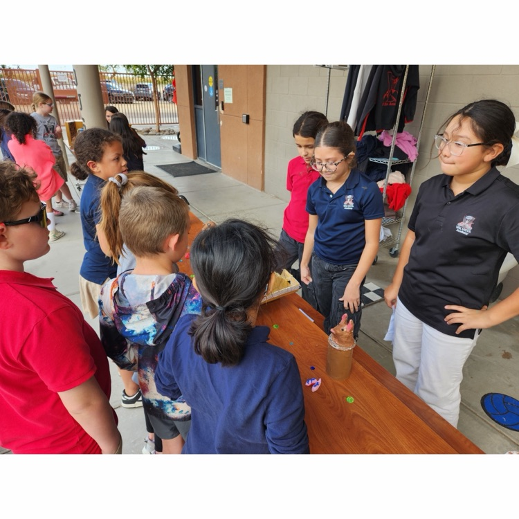 students looking at mummy projects