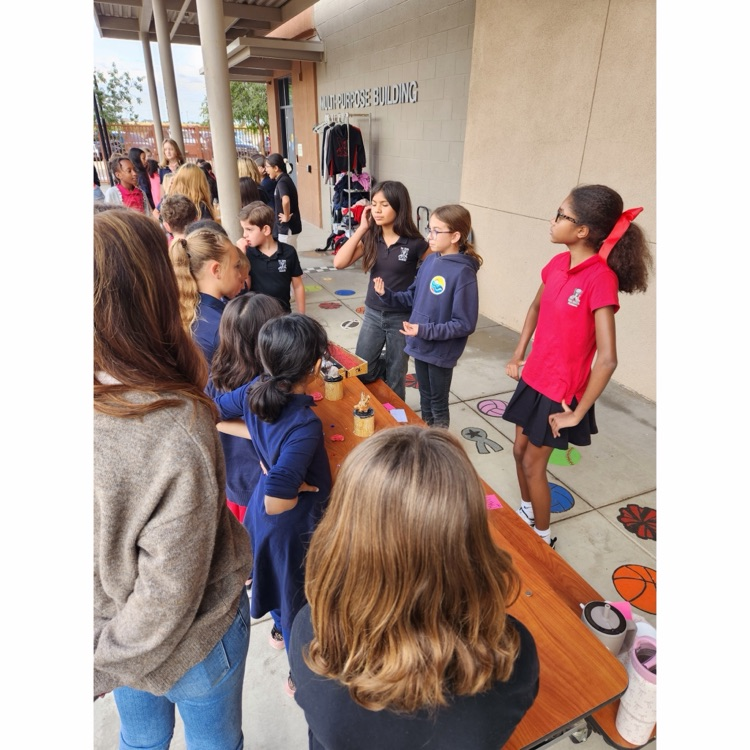 students looking at mummy projects