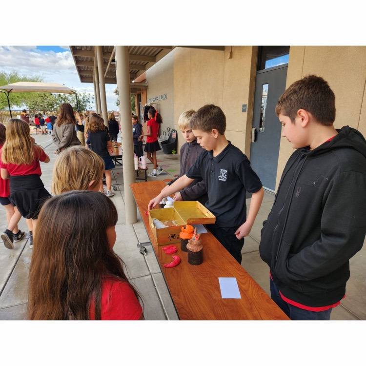 students looking at mummy projects