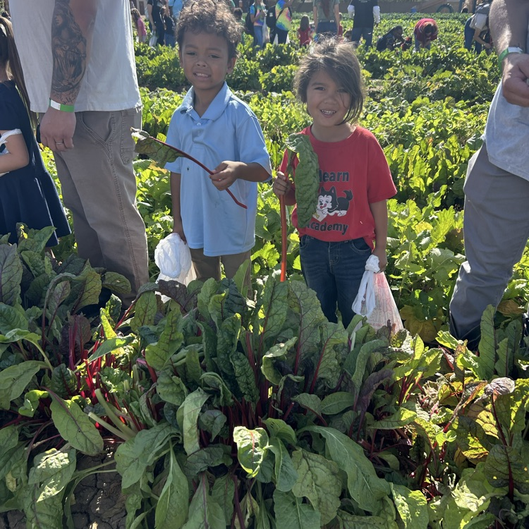 kids with vegetables