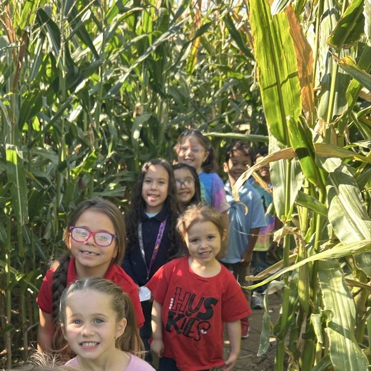 kids in corn maze