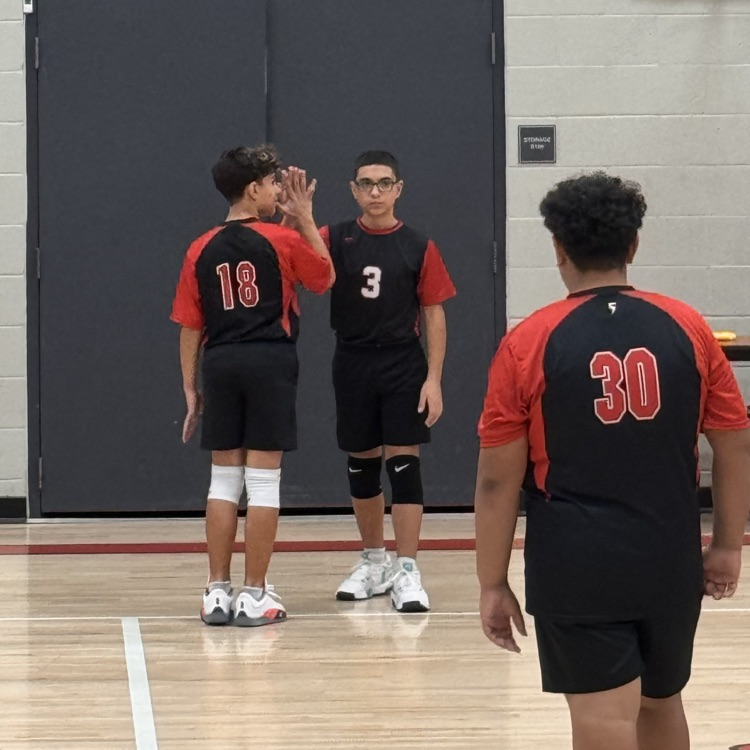 boys volleyball