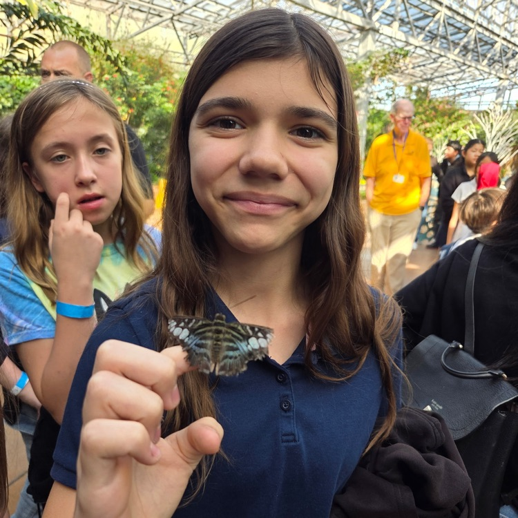 child with butterfly