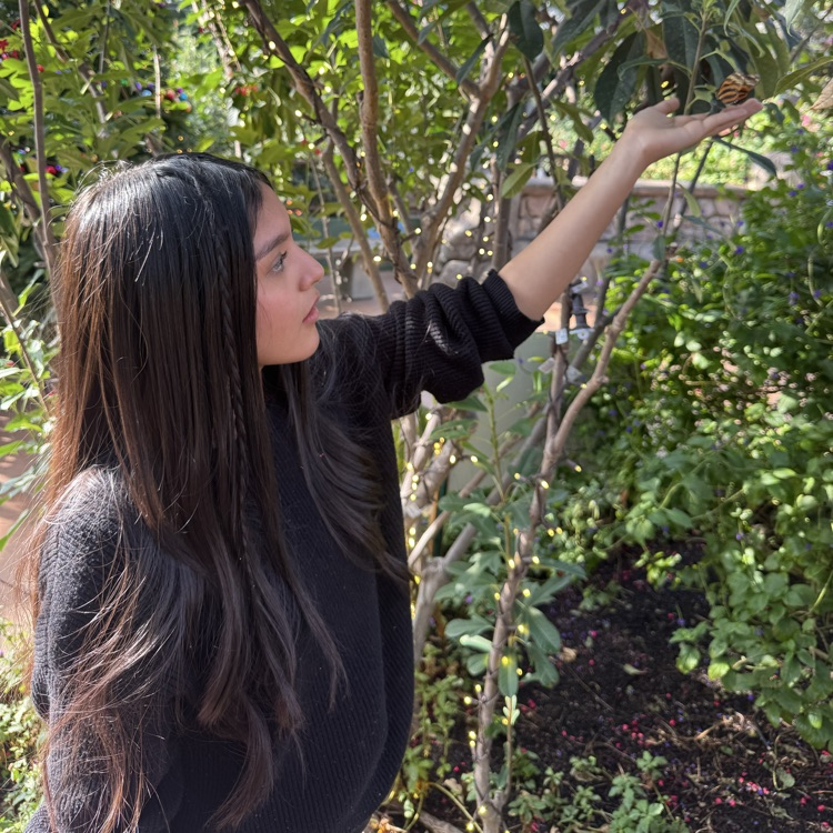 child with butterfly 