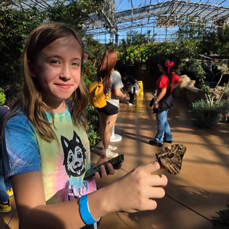 child with butterfly